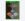 KINGDOM-HEARTS---HD-1.5+2.5-ReMIX KINGDOM HEARTS - HD 1.5+2.5 ReMIX